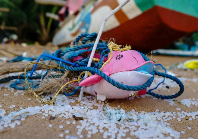 zużyte sieci rybackie, odpady, stare zabawki i nurdle zanieczyszczające plażę