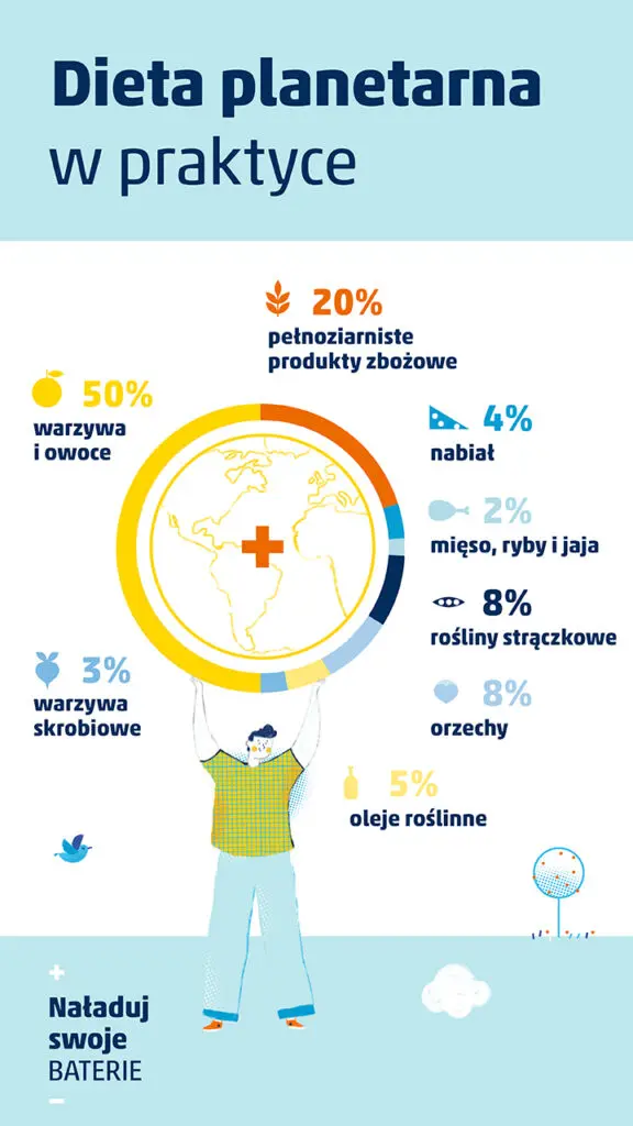 dieta planetarna w praktyce - podział talerza