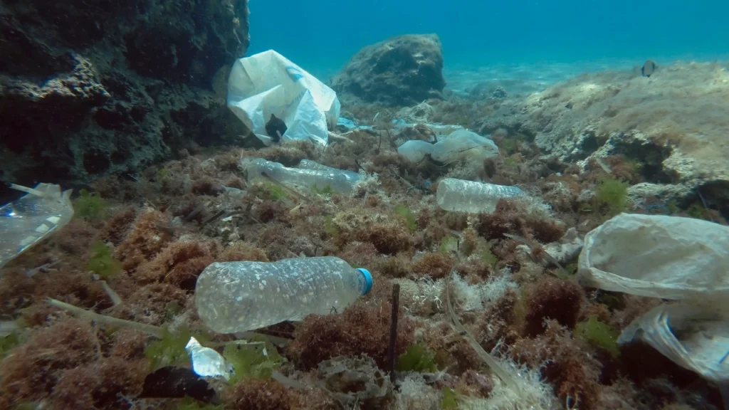 zanieczyszczenie mórz i oceanów plastikiem - plastikowe odpady leżące na dnie morza
